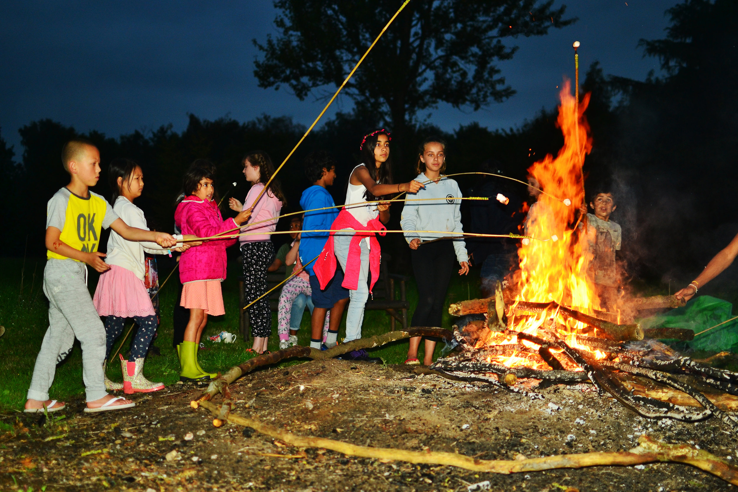 campfire marshmallows