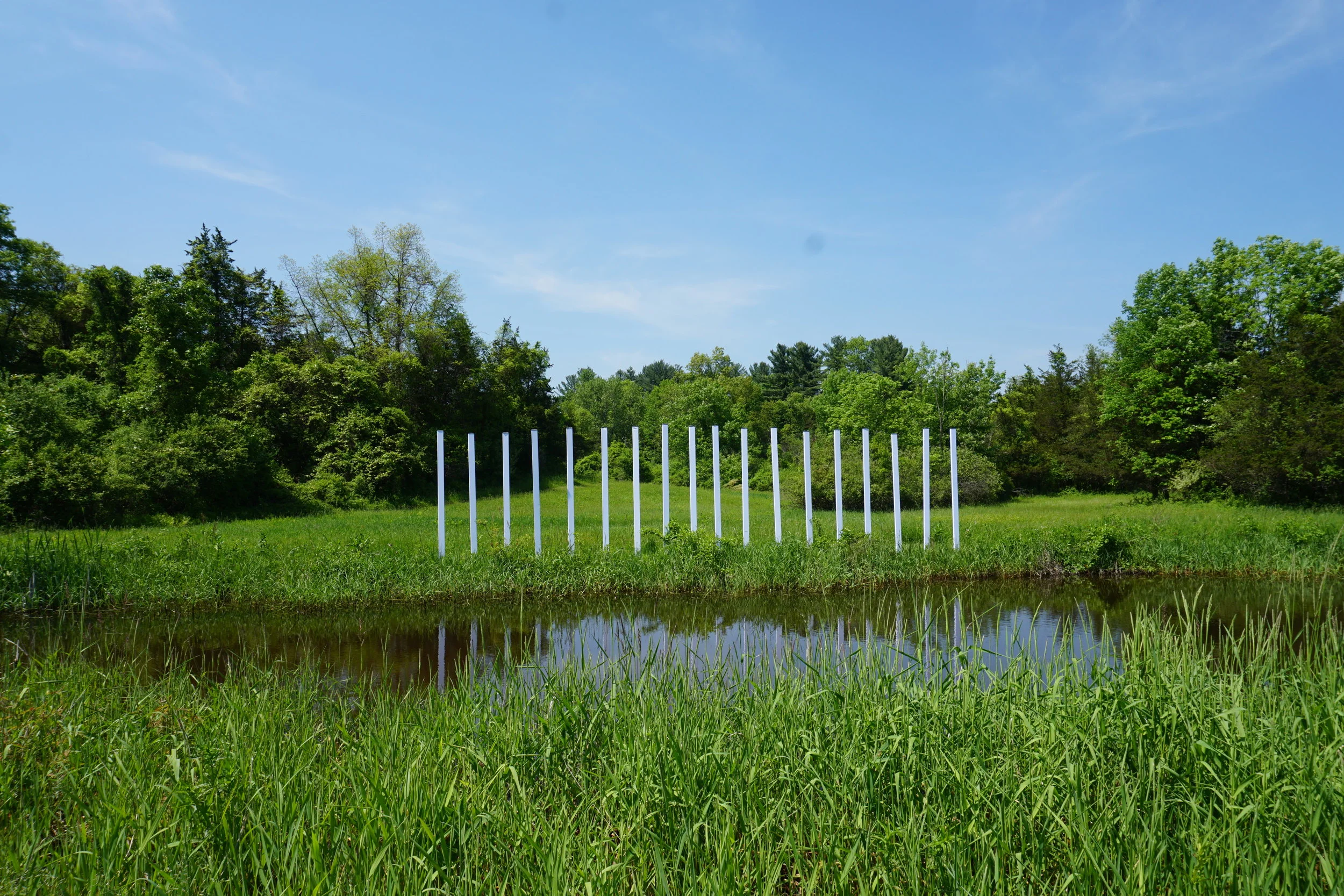 Caitlin Pickall 11.JPG