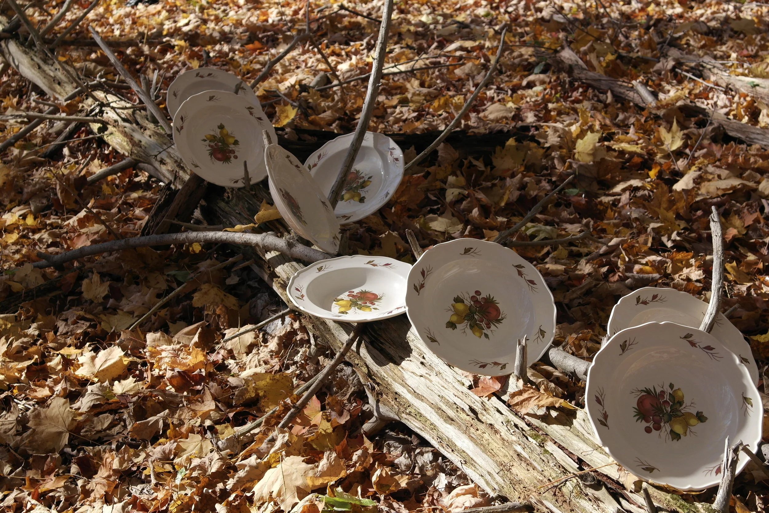 Frida Robles_r Linda.JPG