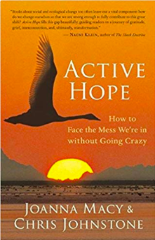 Active Hope: How to Face the Mess We're in without Going Crazy by Joanna Macy (Author), Chris Johnstone (Author)
