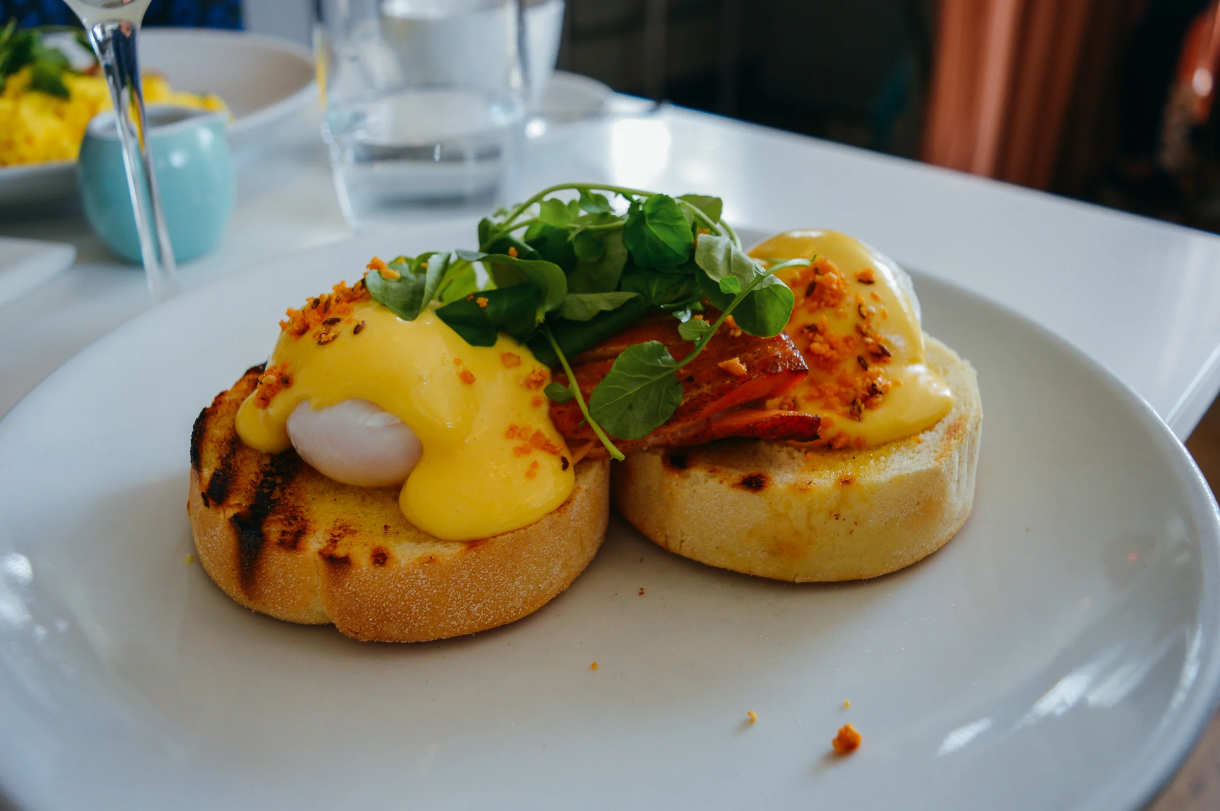 The Modern Pantry Voyage Collective