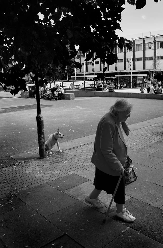 ADO88BWweb.jpg