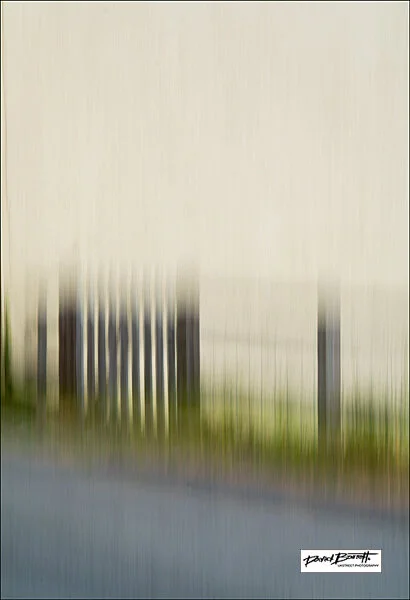 Garden  Gate & Wire Fence , 2020