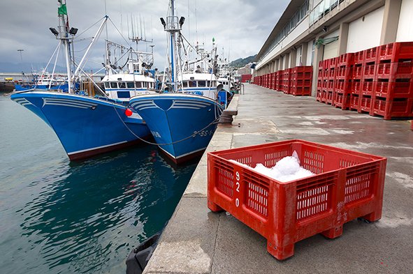 Paella lifestyle_Cultura euskadi 4.jpg