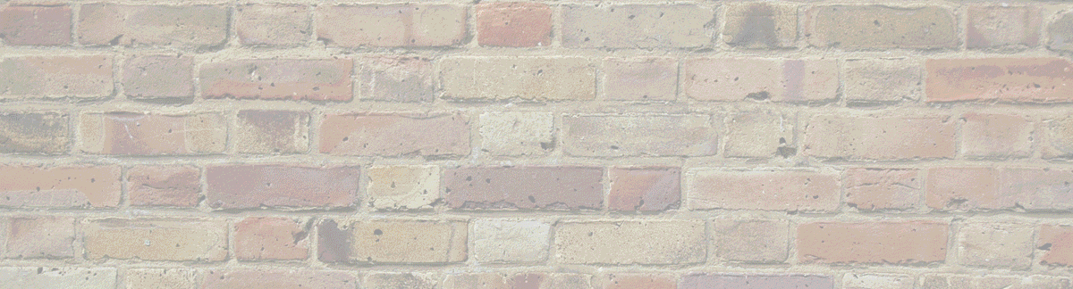 Home-Bottom-New-Products.gif