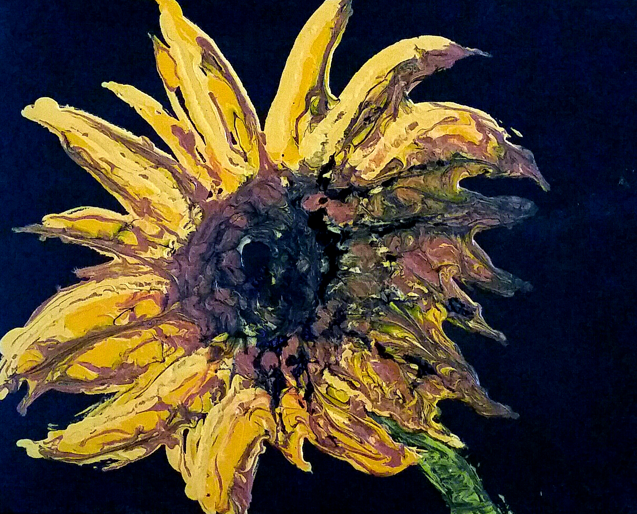 The Light Shines in the Darkness