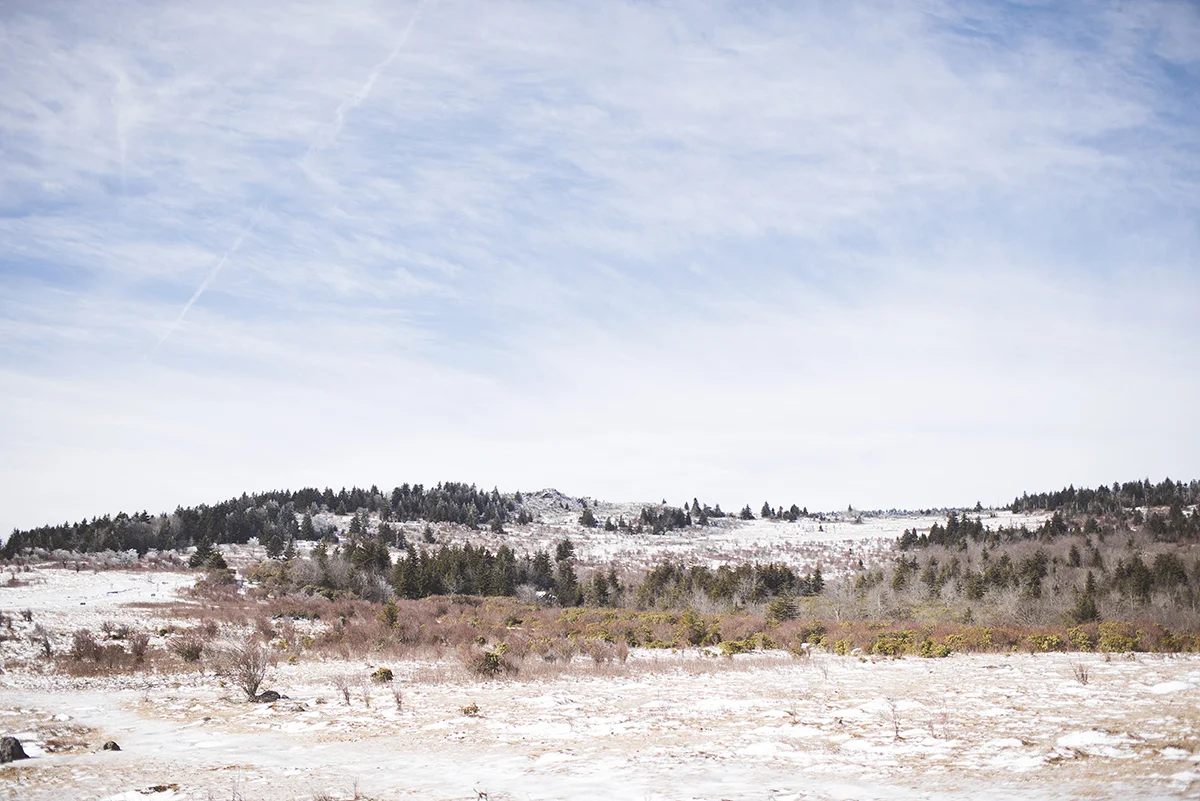 January_096 copy.jpg