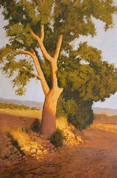 Árbol en la senda