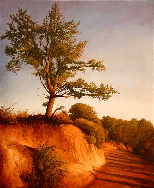 Árbol y camino