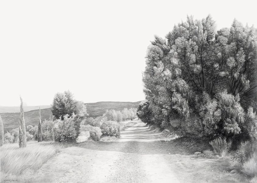 Camino de carrascas y sombras