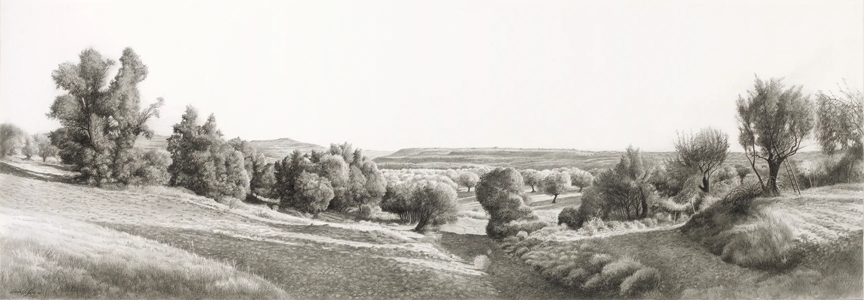 Carrascas y olivos al atardecer