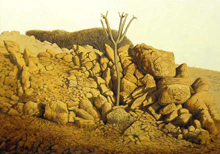 Entre piedras