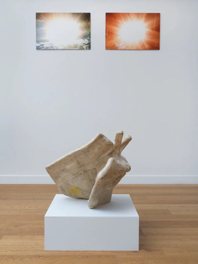 'First Light' @ Bradwolff & Partners Gallery, Amsterdam. 16 January - 15 March 2026. Photo: Gert Jan van Rooij.