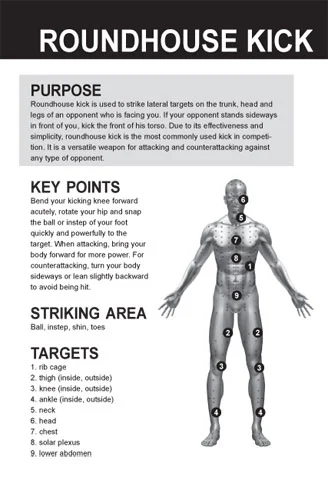 TKD2-4.jpg