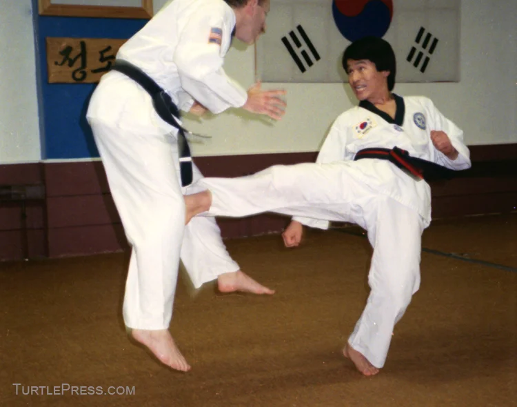 Taekwondo Selfdefense Assess, Attack, Adapt Turtle Press