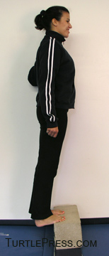 Heel drop and raise exericse