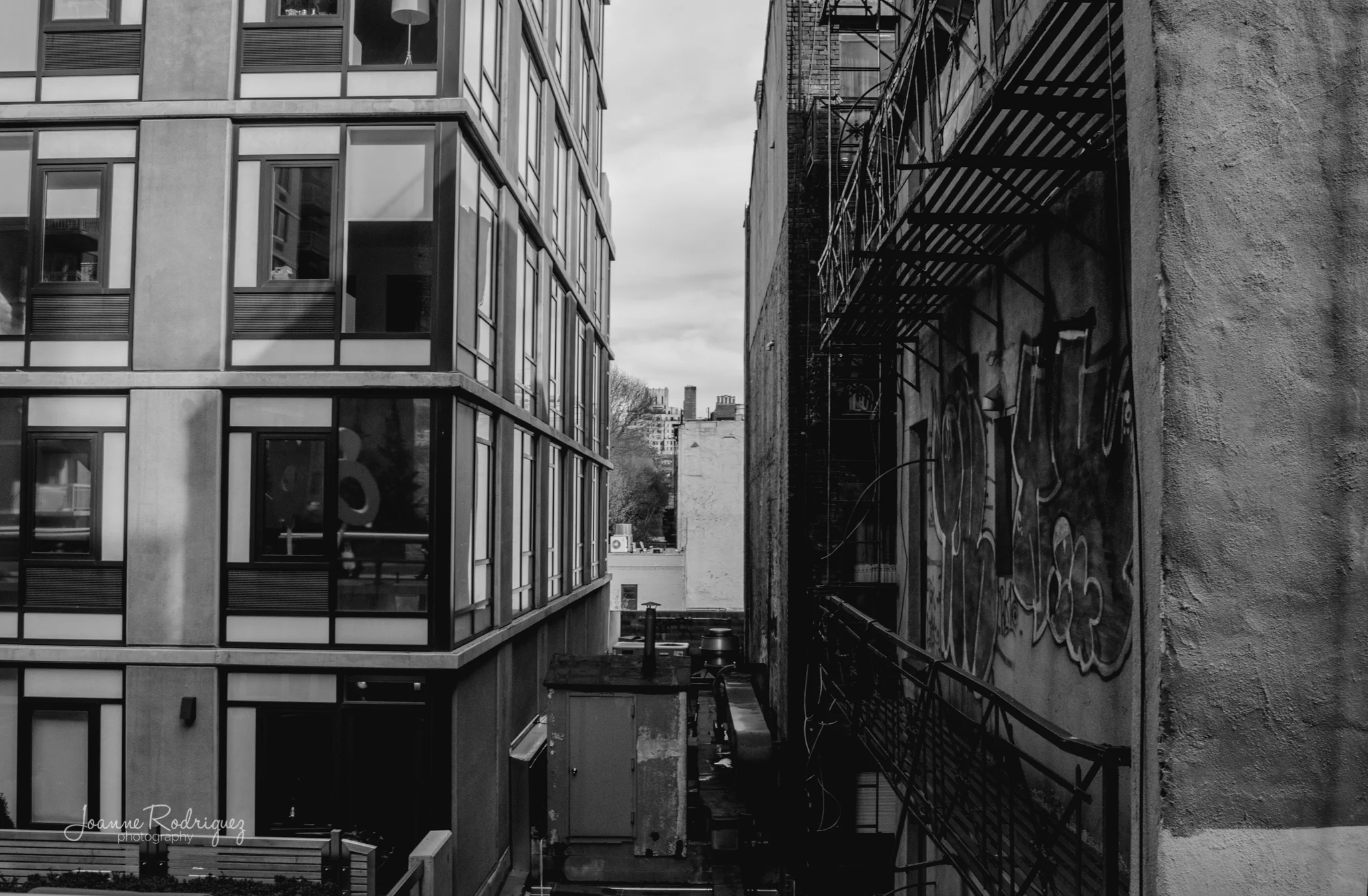 20150425-DSC_8164.jpg