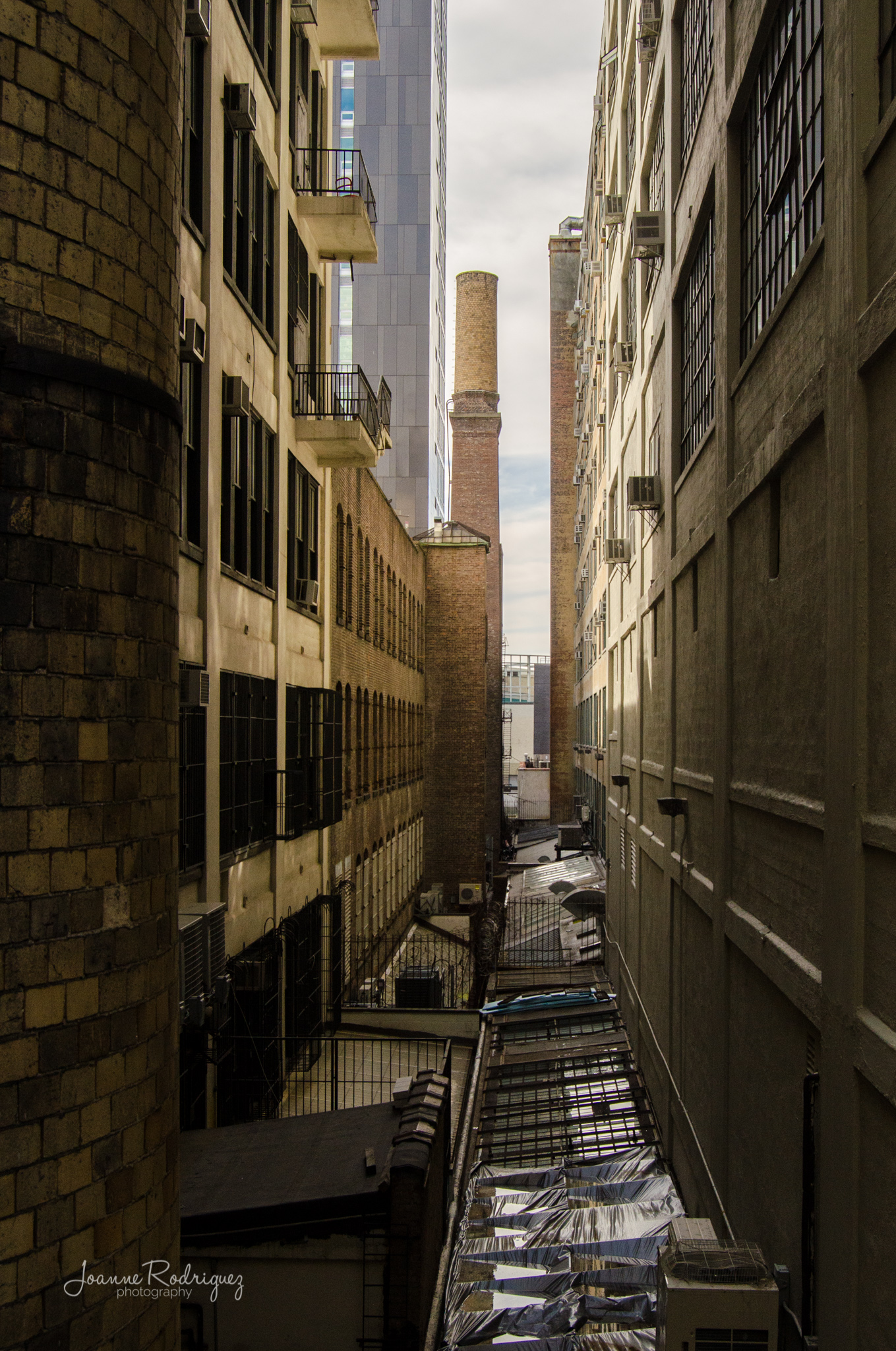 20150425-DSC_8090.jpg