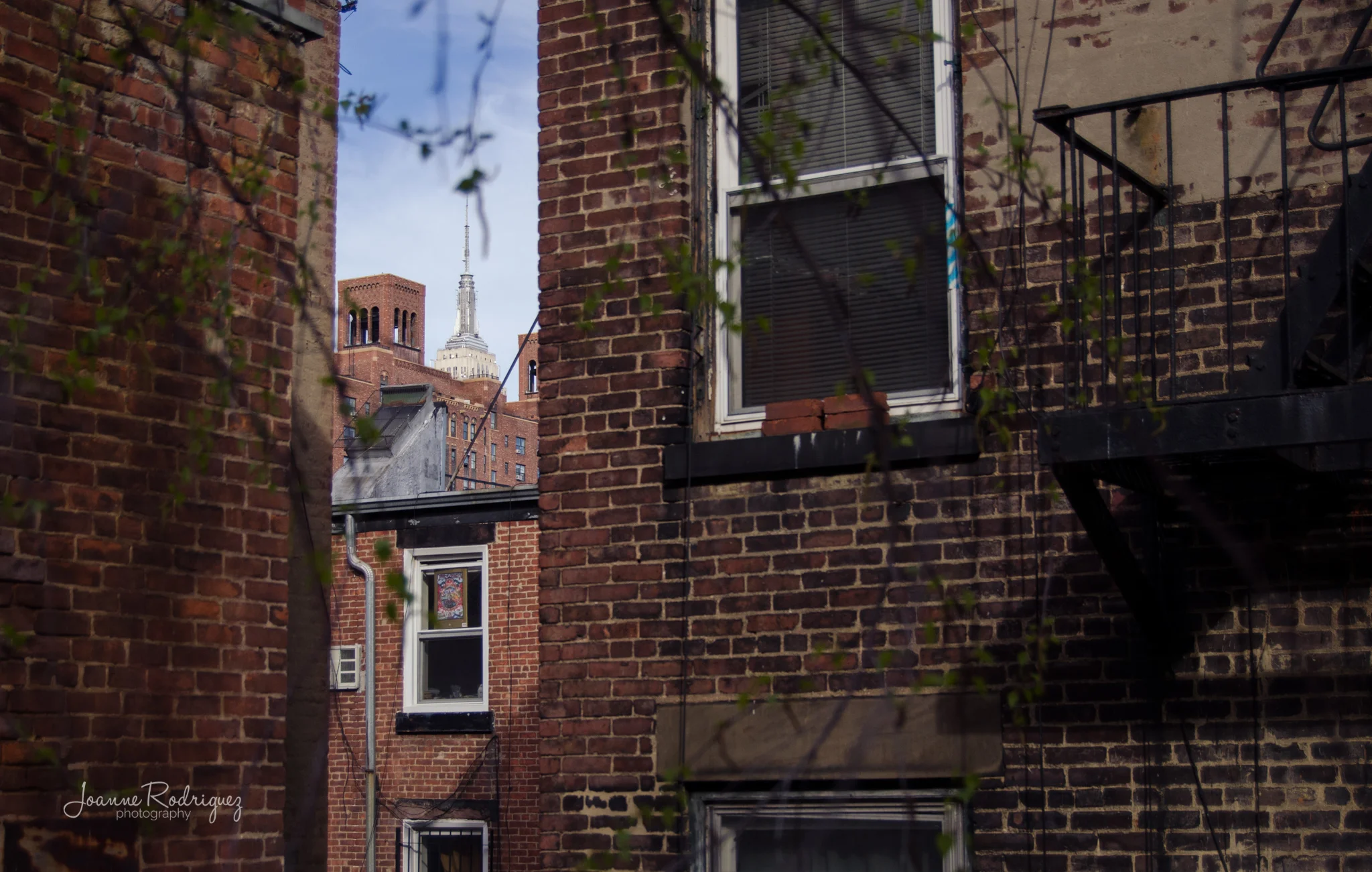 20150425-DSC_8178.jpg