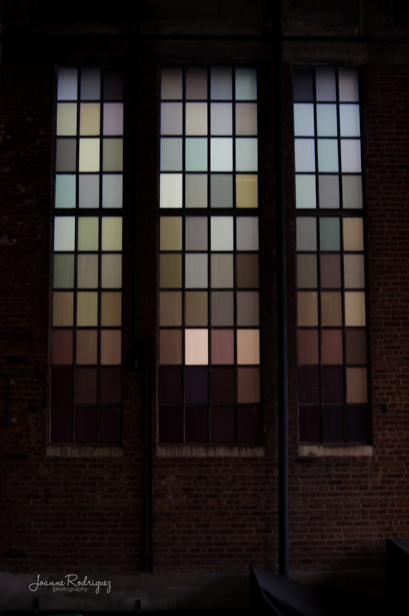20150425-DSC_8224.jpg