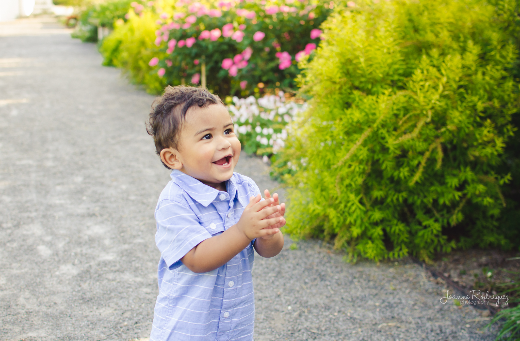 20150530-DSC_9813.jpg