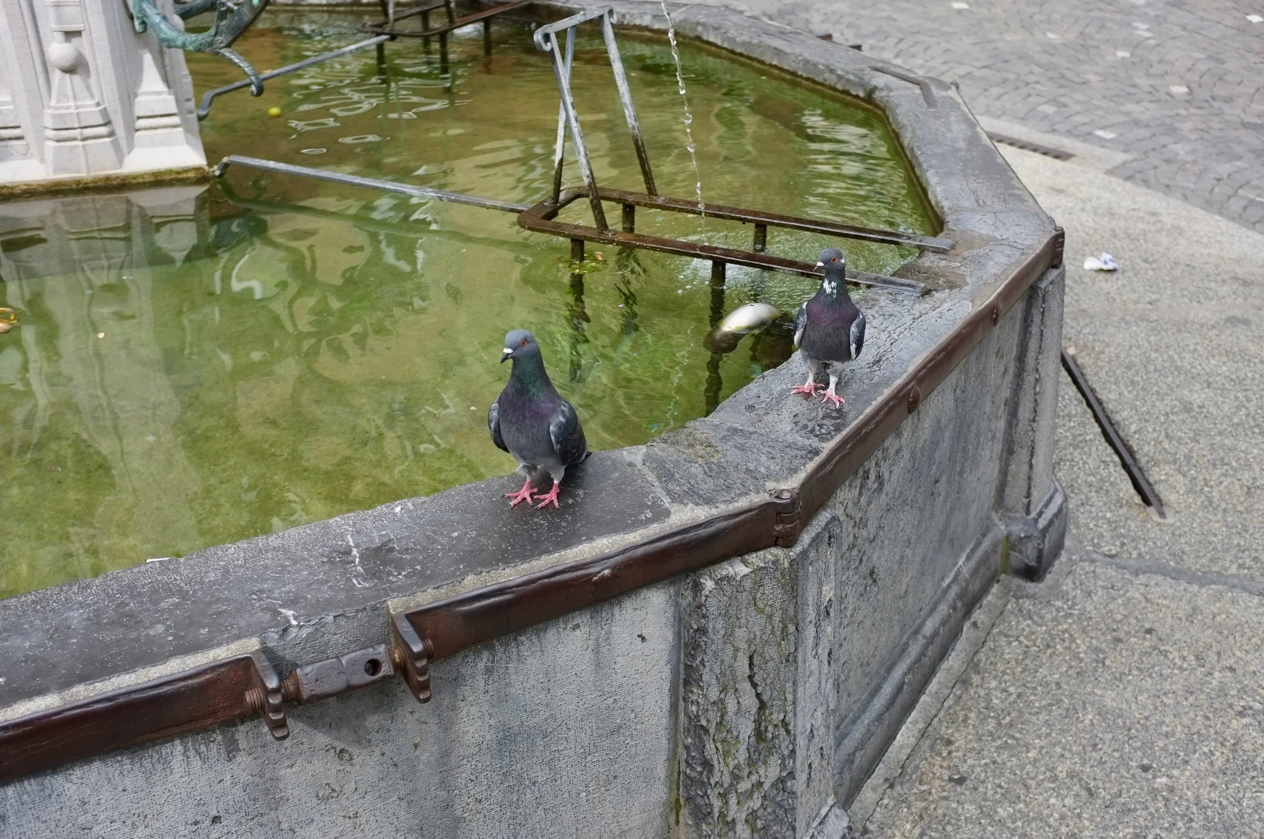 DSCF8357.jpg