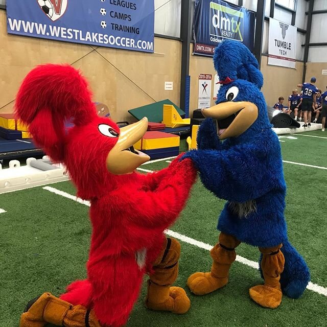 ‪That time Chips and Queso made it official. ❤️💙 | #GoChaps‬