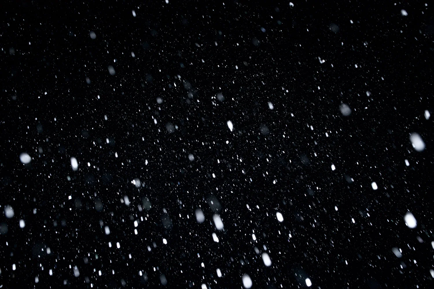 _0BA4840_A_picci_40X60_NIKPOST_.jpg