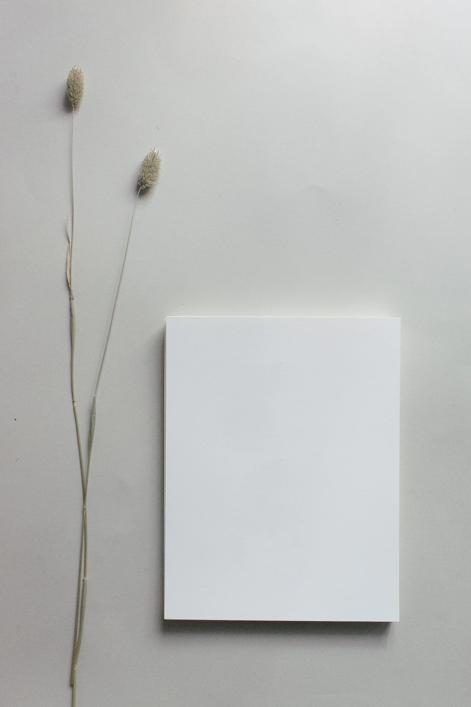 untitled-2.jpg