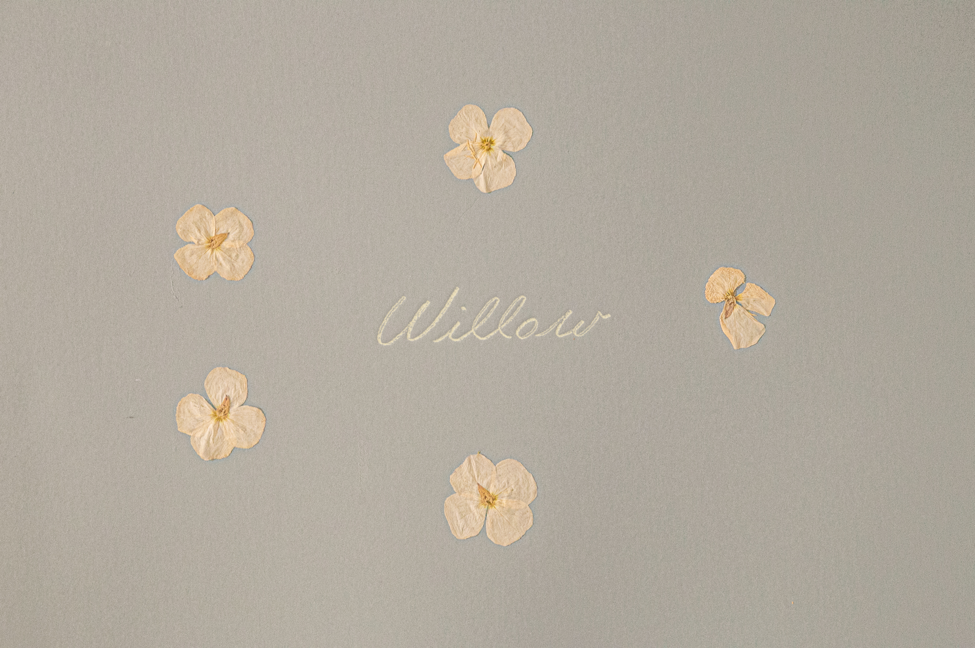 Willow-Emboss.png