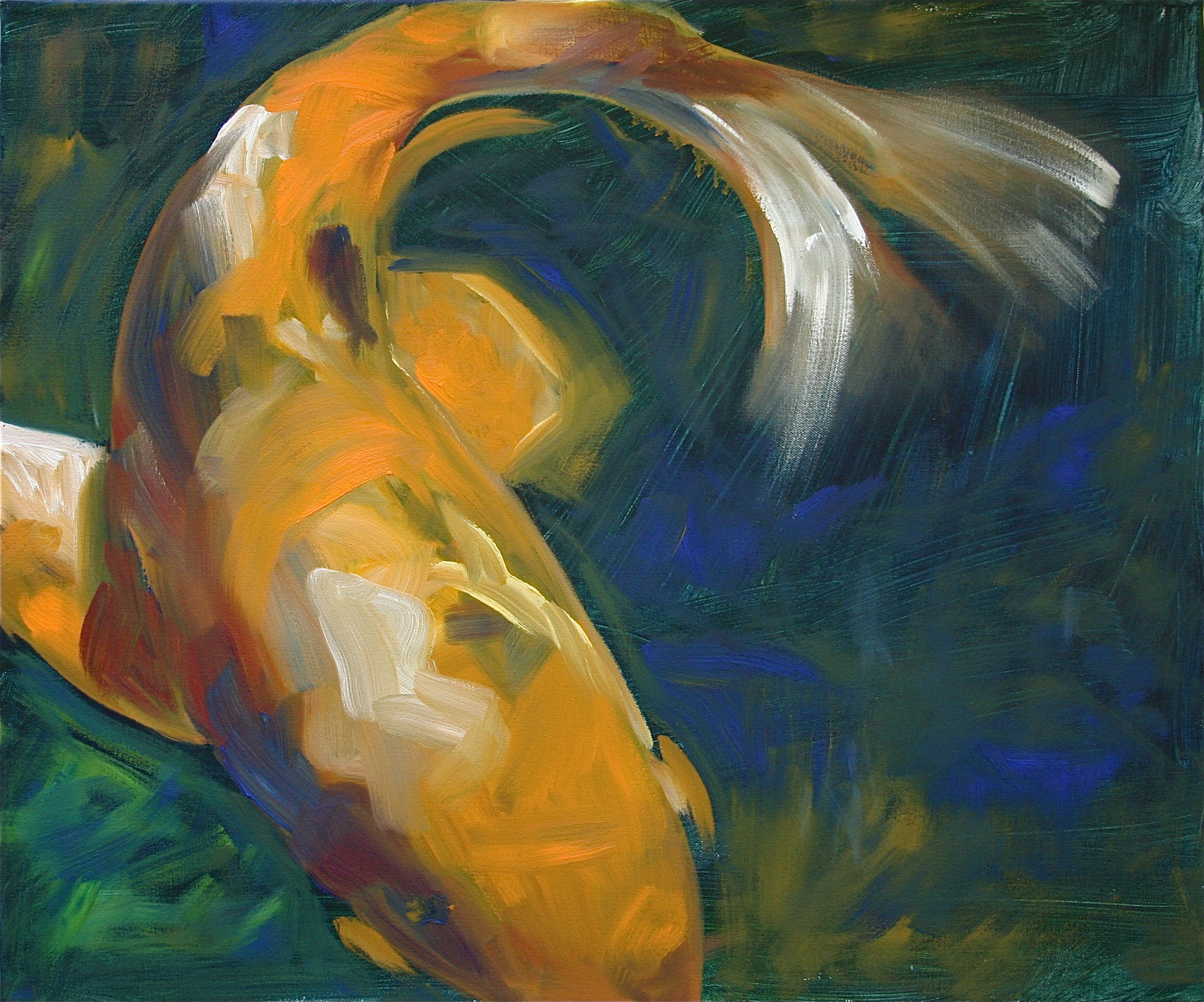 Koi in Motion