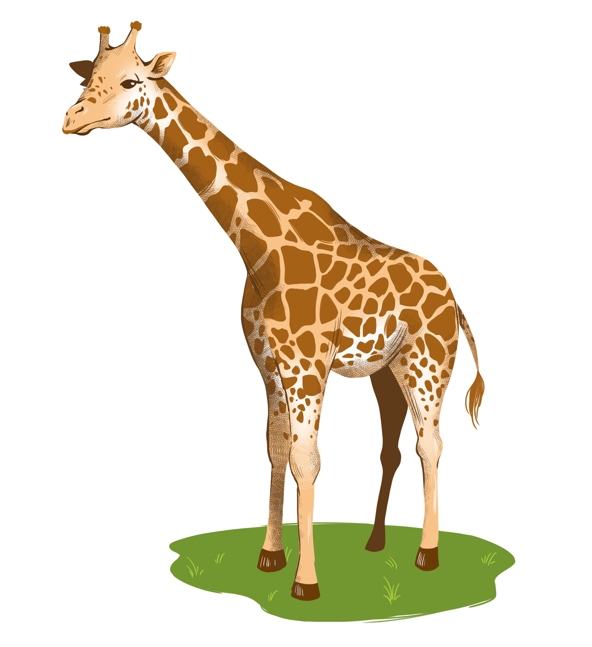 children_illustration_giraffe