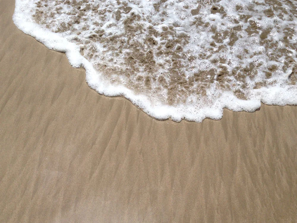 Release and Transform Meditation