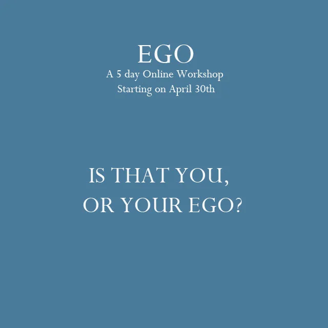 EGO: ONLINE WORKSHOP