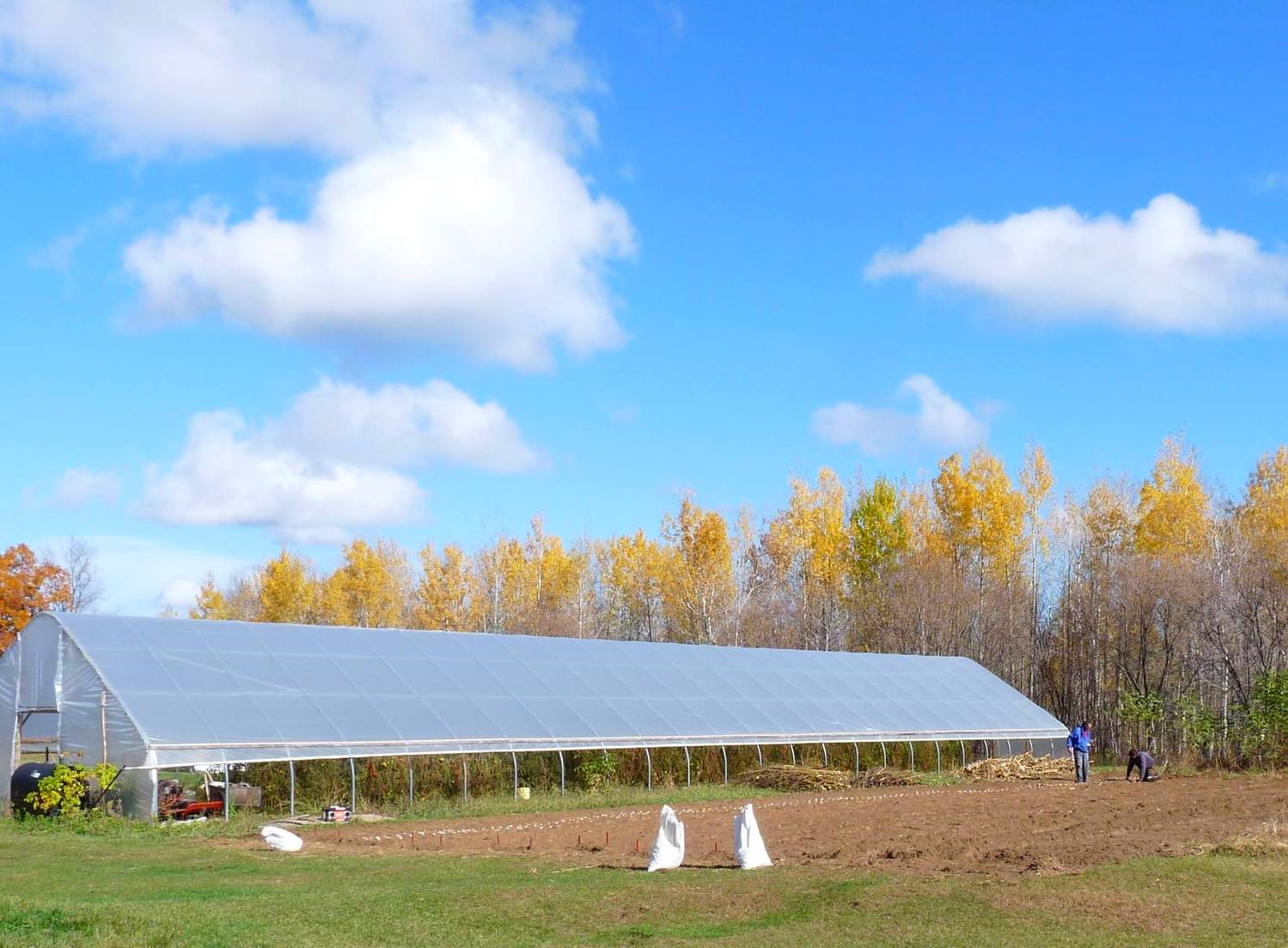 The Farm — Harvest Hill Farm