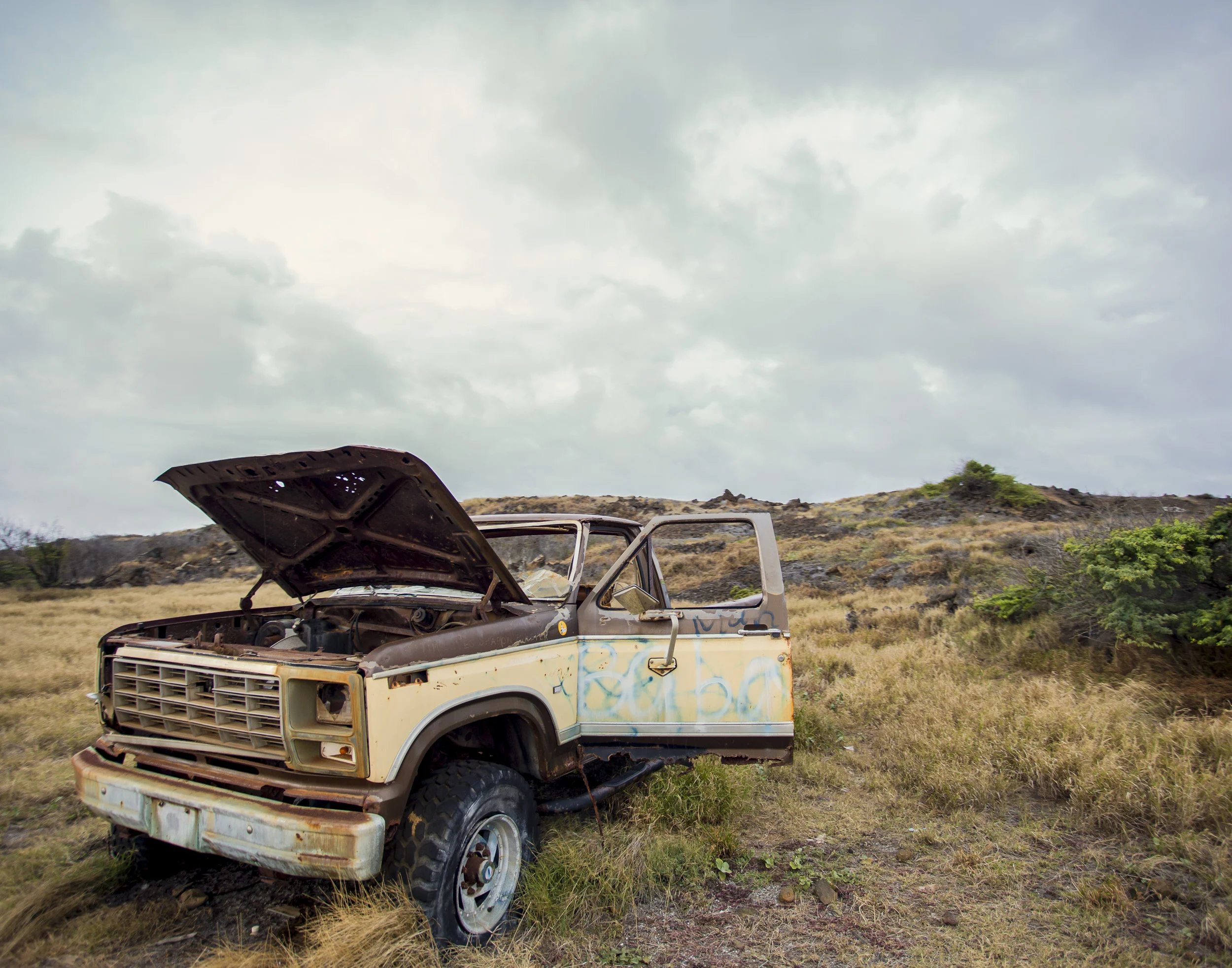  Derek Johnson Photography 