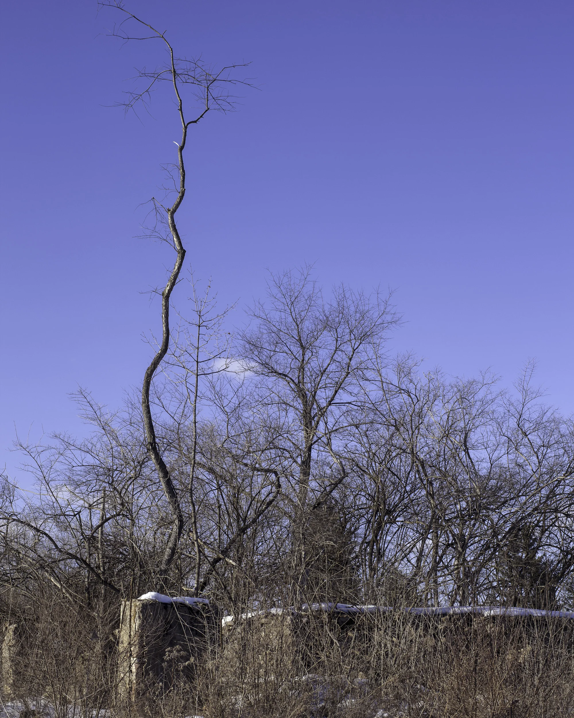Derek Johnson Photography