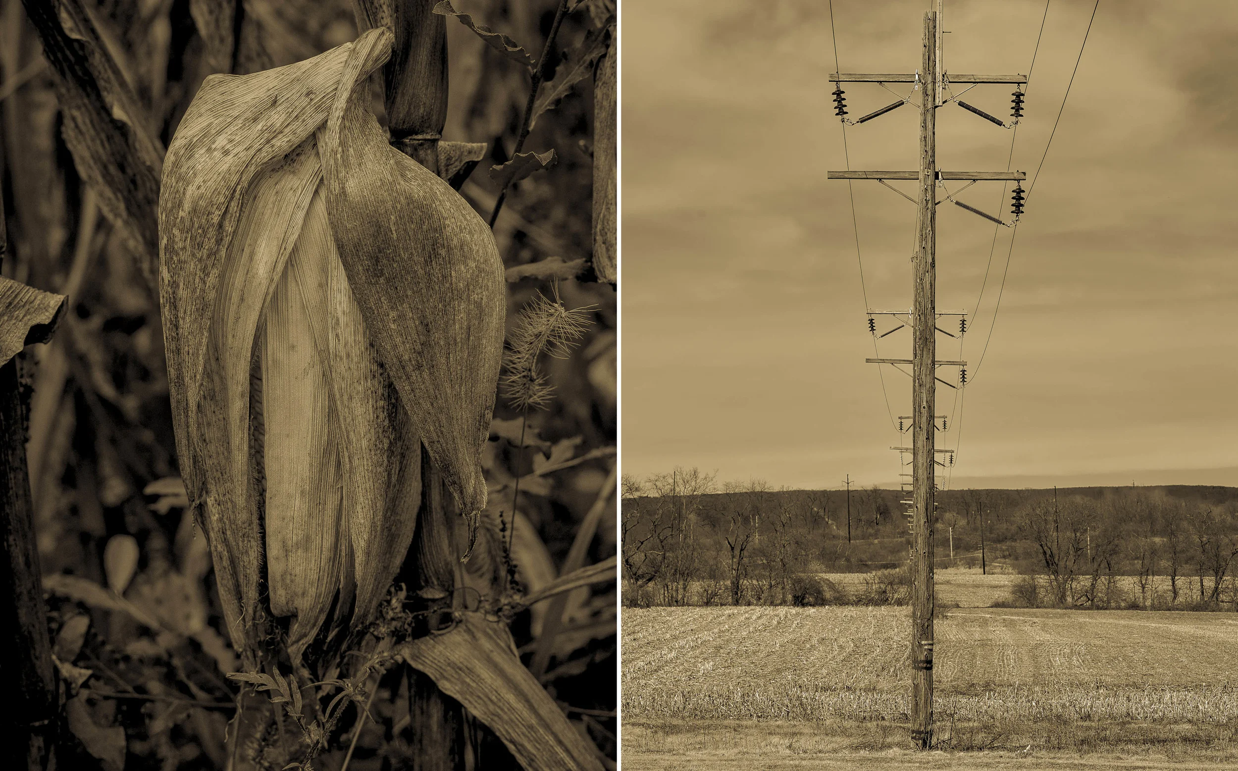  Derek Johnson Photography 