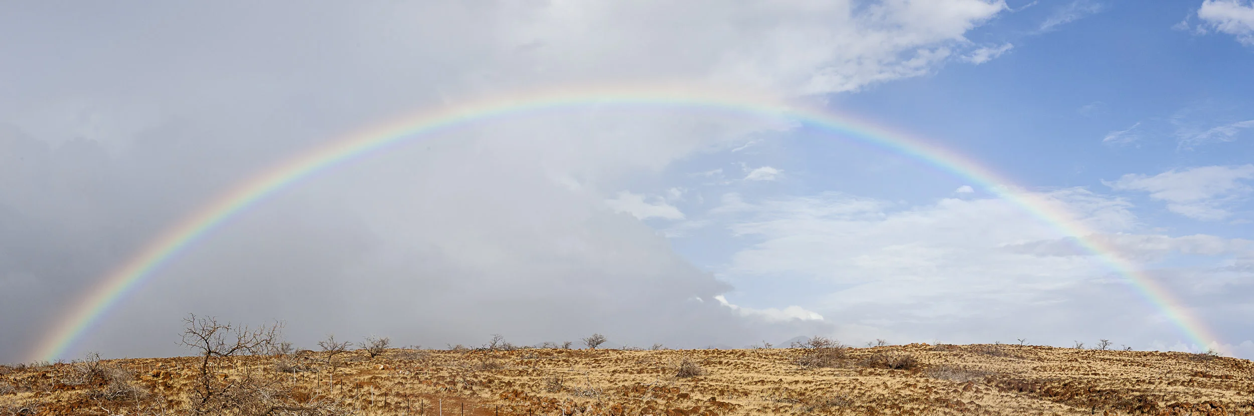 _MG_8450-Pano.jpg