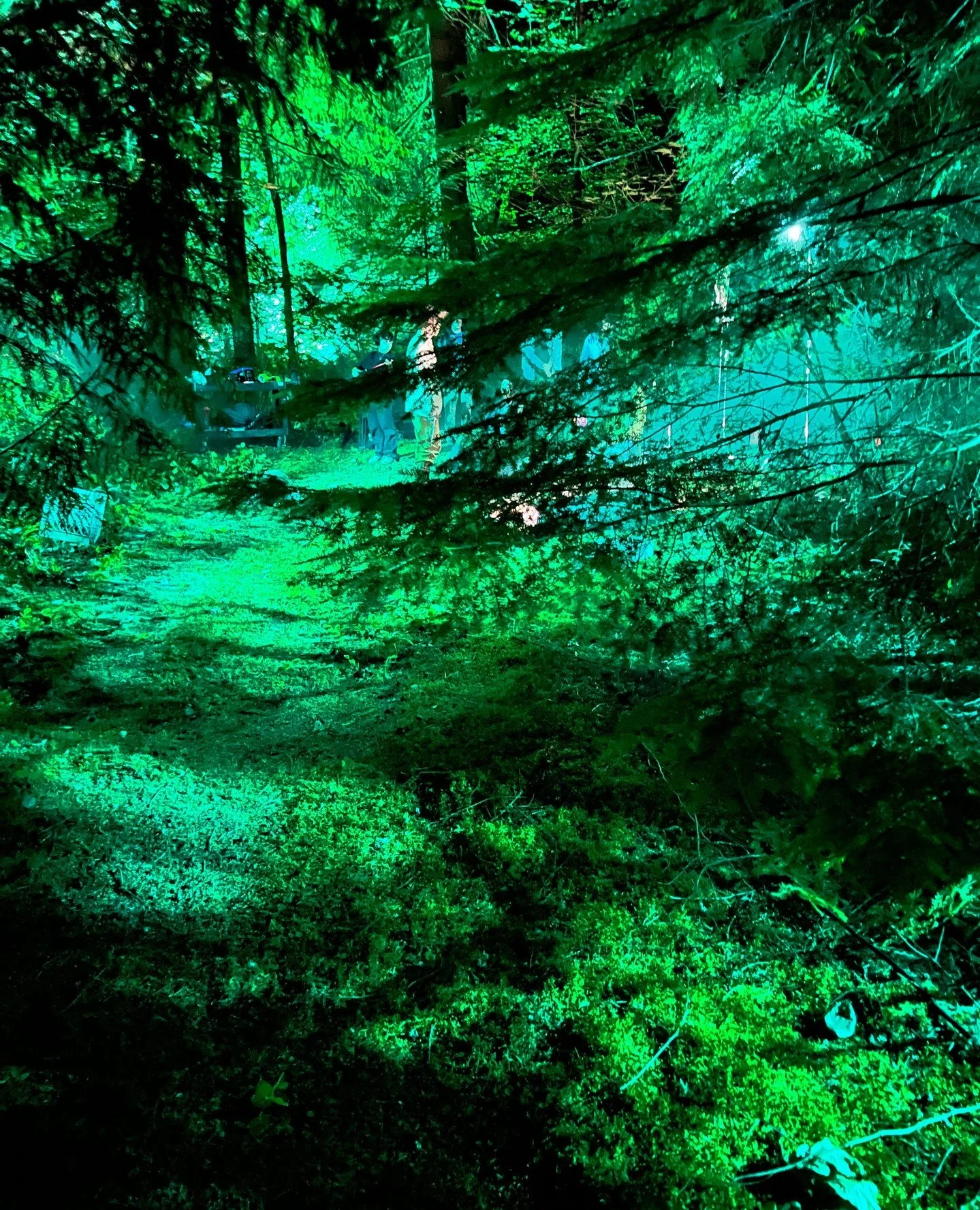 Overnight shoots, firelight, and gunfights in the old west &mdash; just another night in the life of a gaffer. Loved shaping the mood around the campfire on this gritty period short. Smoke, shadows, and a whole lotta teamwork.⁠
⁠
#ShortFilm#FilmSet #