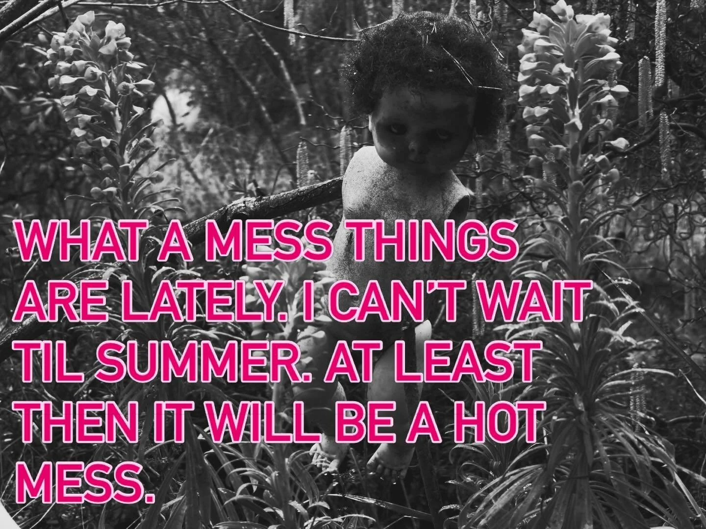 #producing @kaifilms #indyfilm #siff #news @news