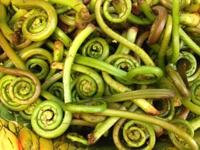 May: Wellness Festival, upcoming cleanse and 'The Signature of All Things' 