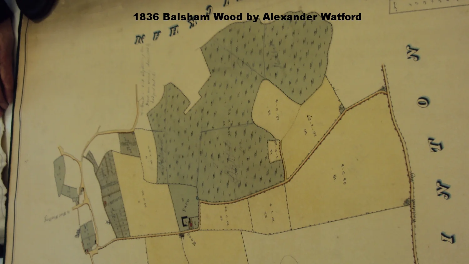  All images on this site are owned by The Balsham Map project and should not be reproduced or shared without the prior permission, in writing, of The Balsham Map project. 