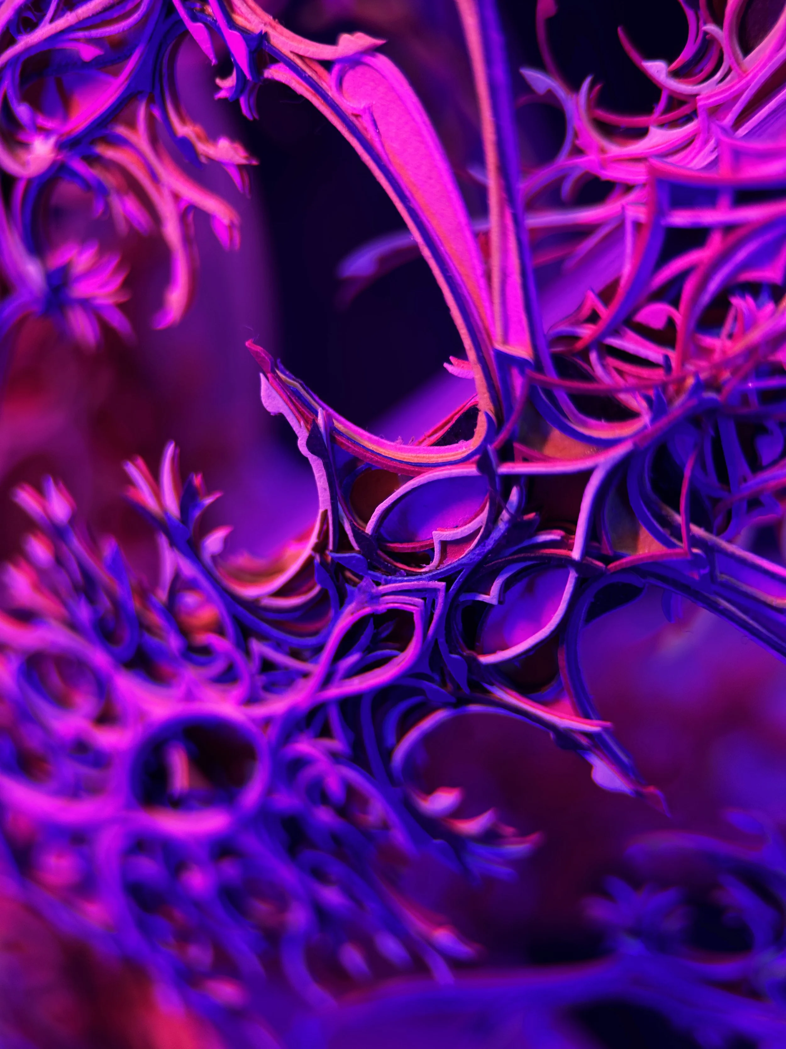 Irreducible (Continuum Installation)