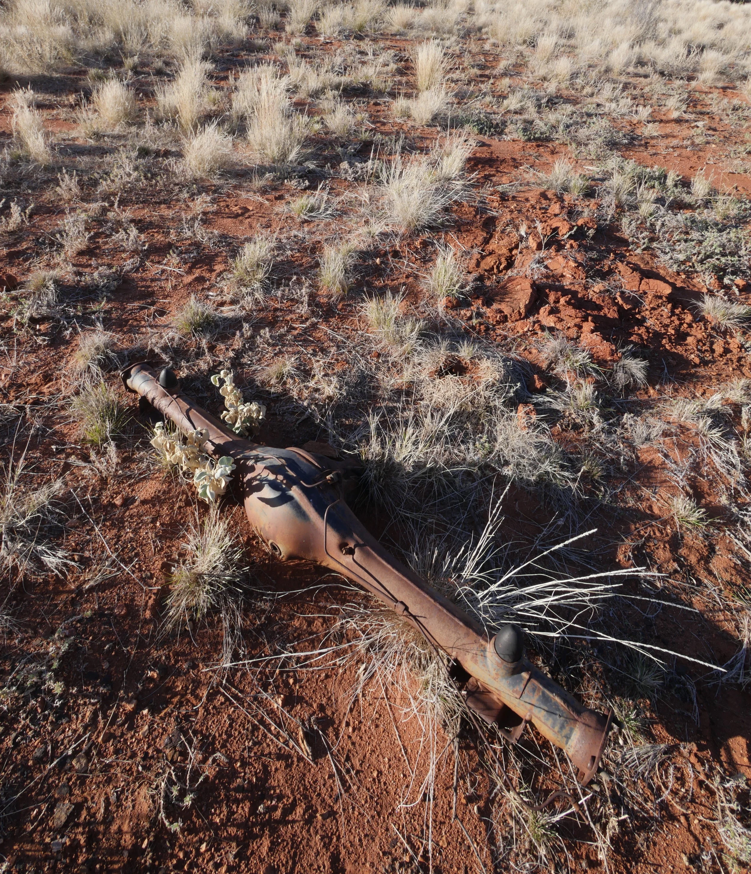 Outback mystery 2.jpg