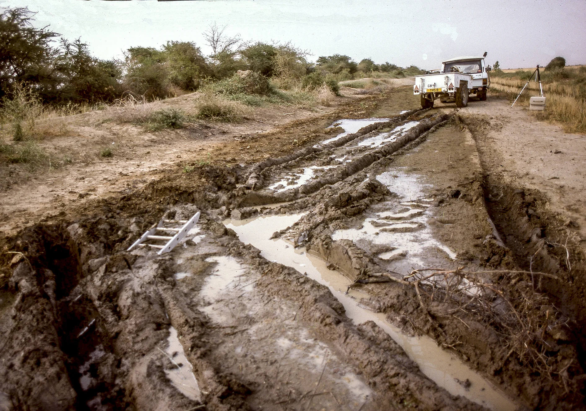 Mud-bog.2.sm.jpg