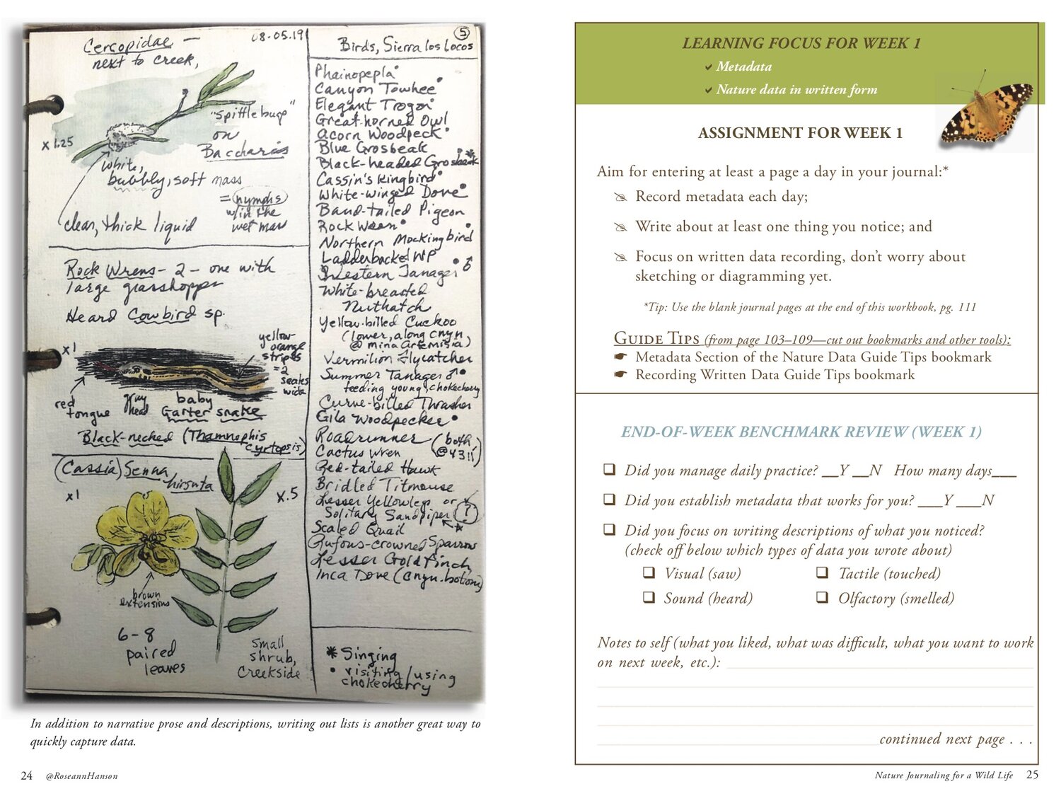 Nature journal prompts — Journaling with Nature