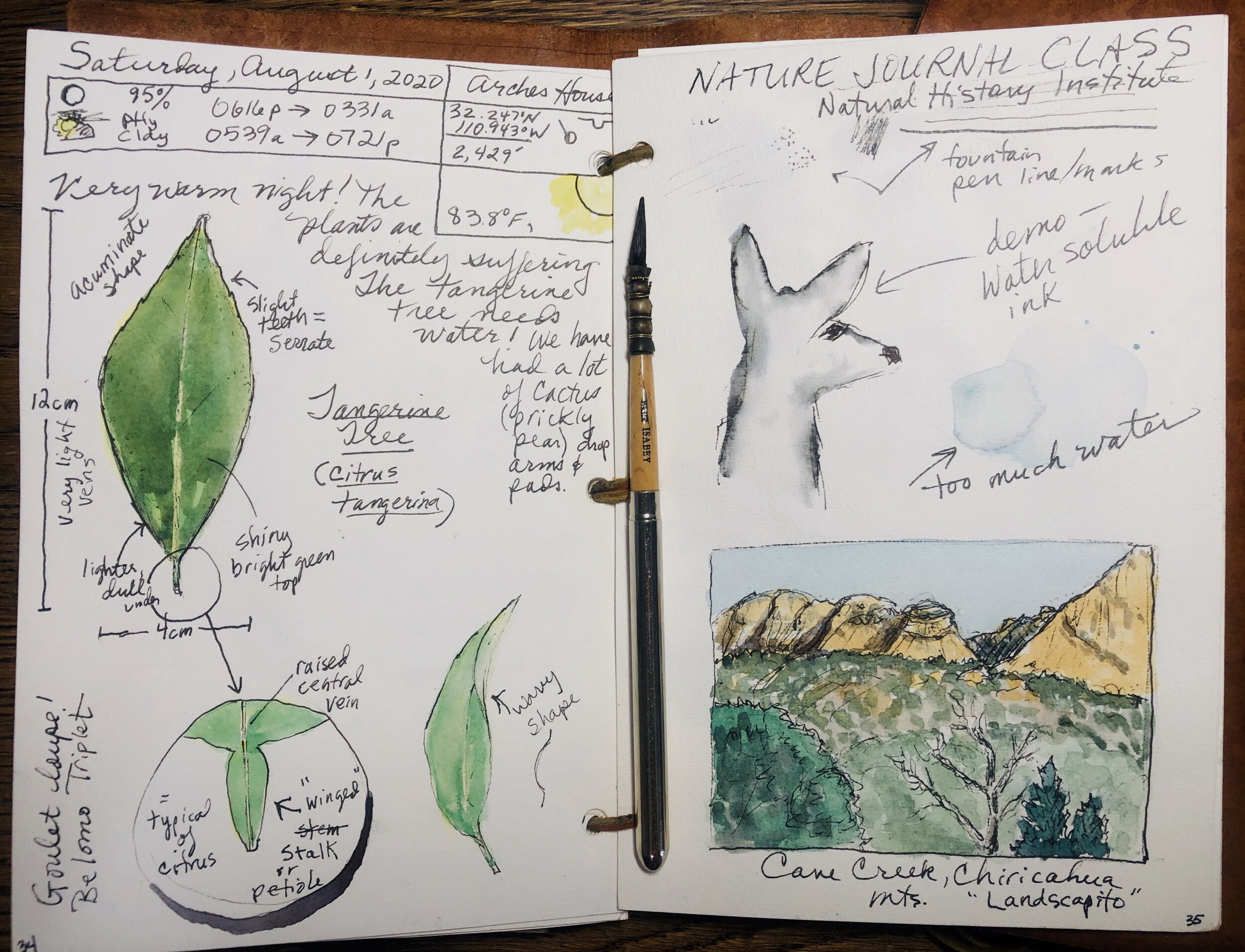 Nature Journal Page Flow — Exploring Overland
