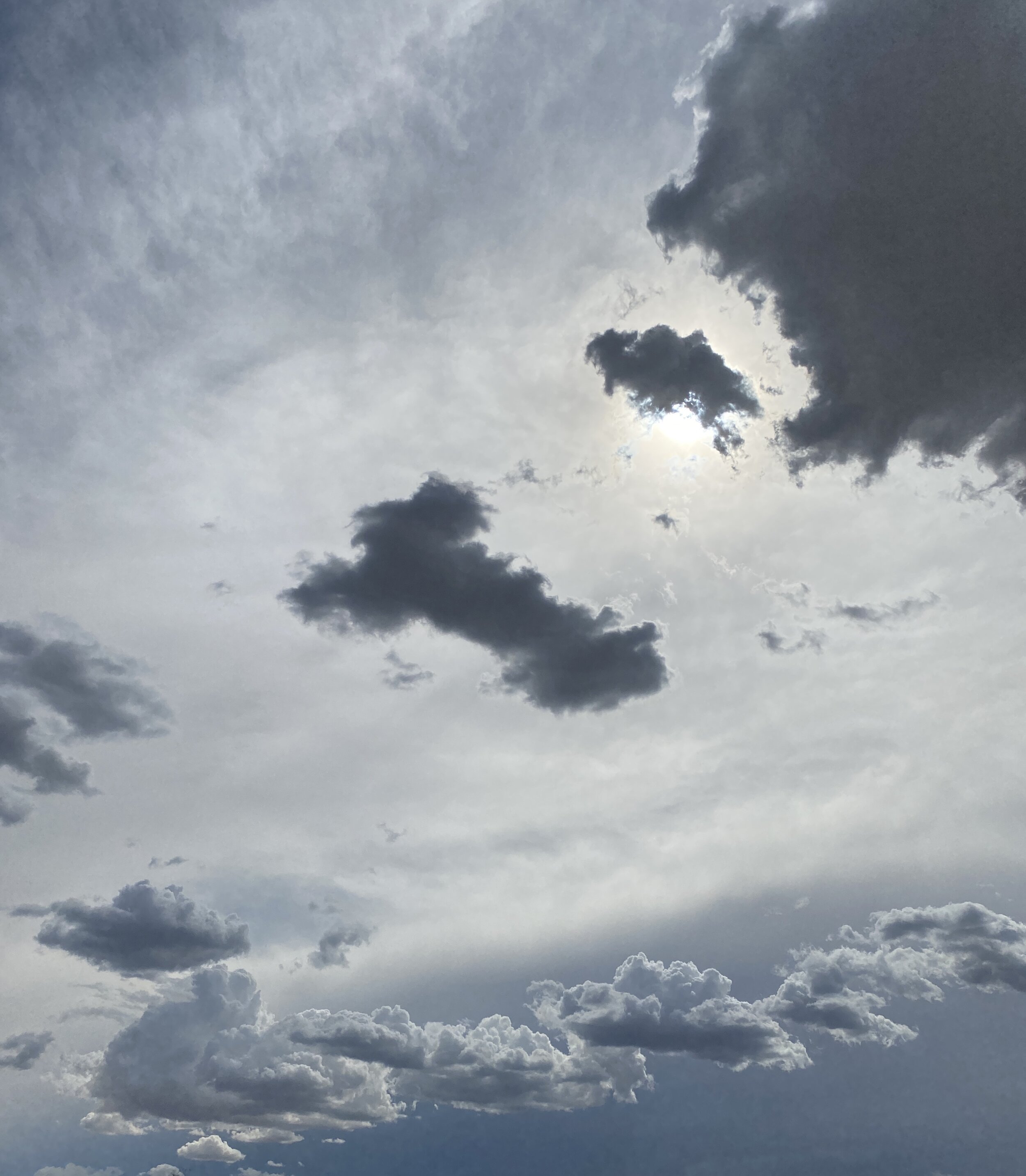  Low-altitude cumulus under altostratus, Tucson, Arizona, USA, by Roseann Hanson 