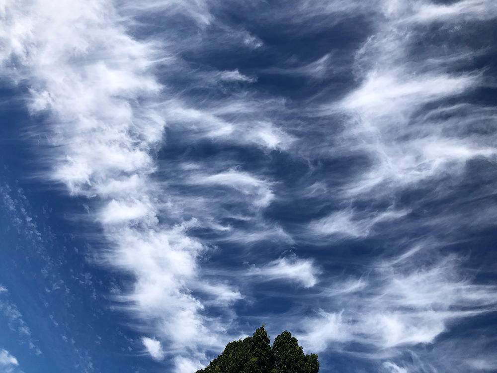  Cirrus clouds over Samford, QLD, AUS, by Bethan Burton 